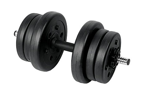 Гантель сборная Lite Weights