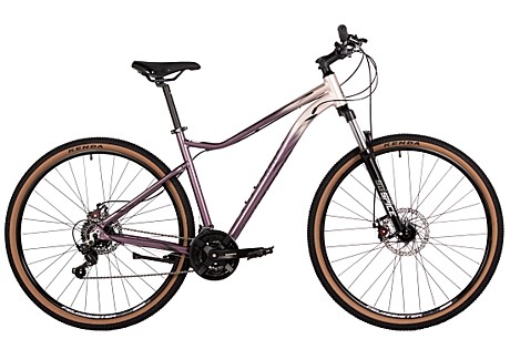 STINGER 29